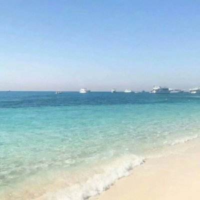 pk10赛车下载手机版截图